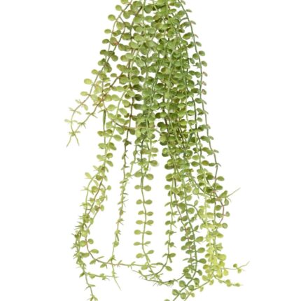 Künstliche Dischidia Hängepflanze, ca. 76cm