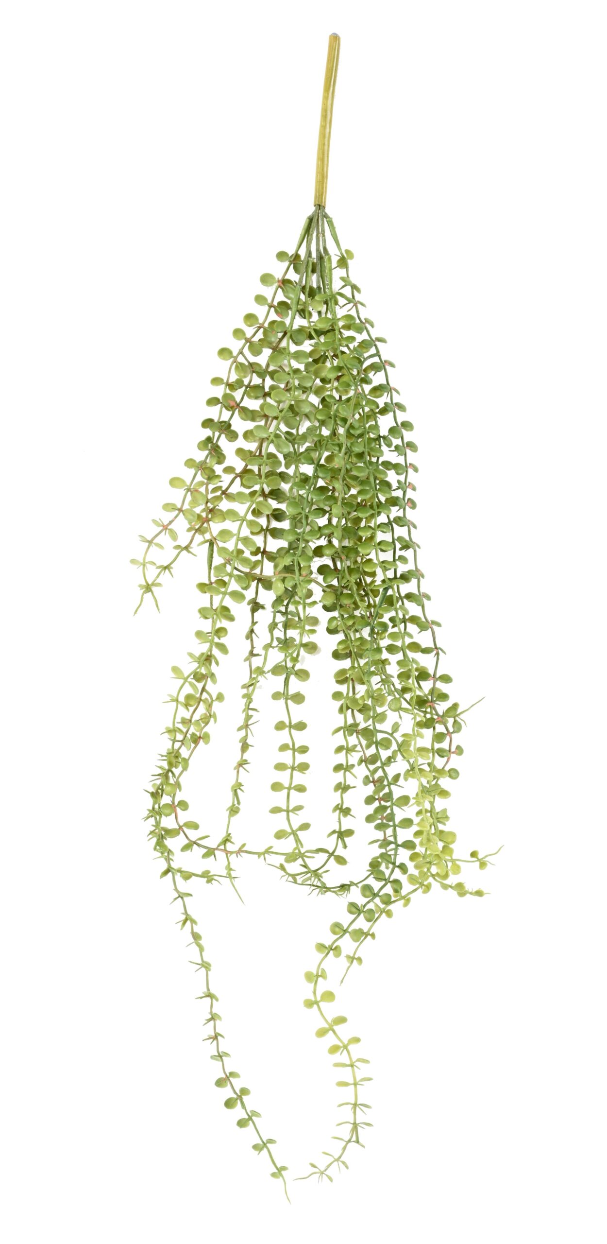 Künstliche Dischidia Hängepflanze, ca. 76cm 1 Künstliche Dischidia Hängepflanze, ca. 76cm