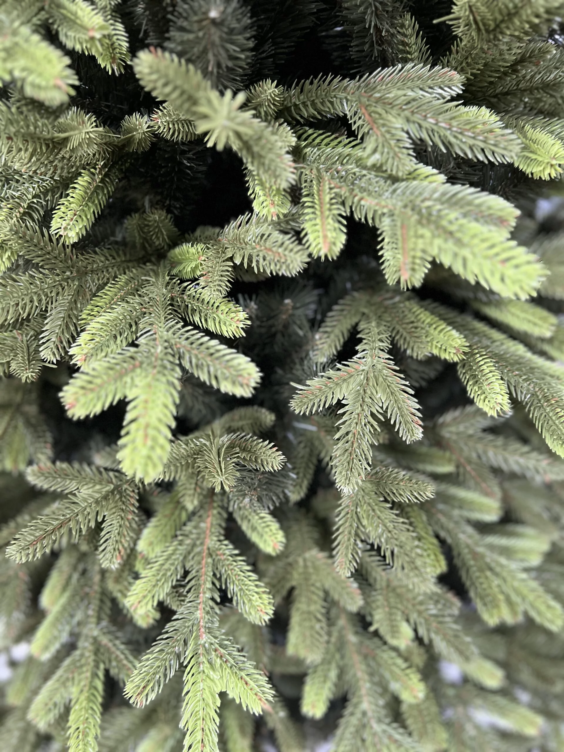 Künstliche Douglasie PE/PVC, ca. 210cm 3 Künstliche Douglasie PE/PVC, ca. 210cm – Bild 3