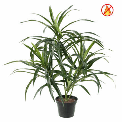 Künstliche Dracaena Anita, ca. 45cm, Schwer entflammbar nach B1/RF2