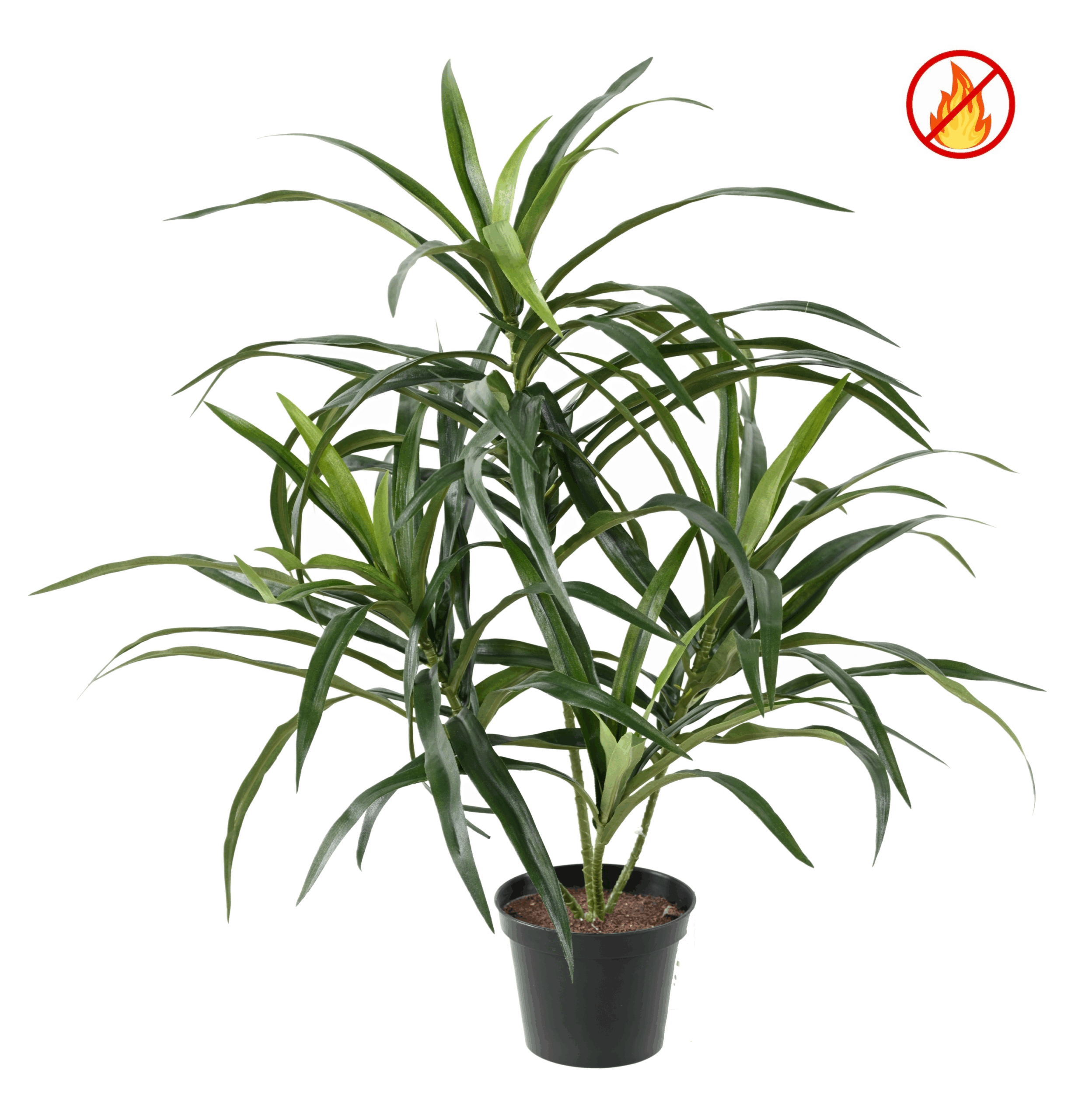 Künstliche Dracaena Anita, ca. 45cm, Schwer entflammbar nach B1/RF2 1 Künstliche Dracaena Anita, ca. 45cm, Schwer entflammbar nach B1/RF2