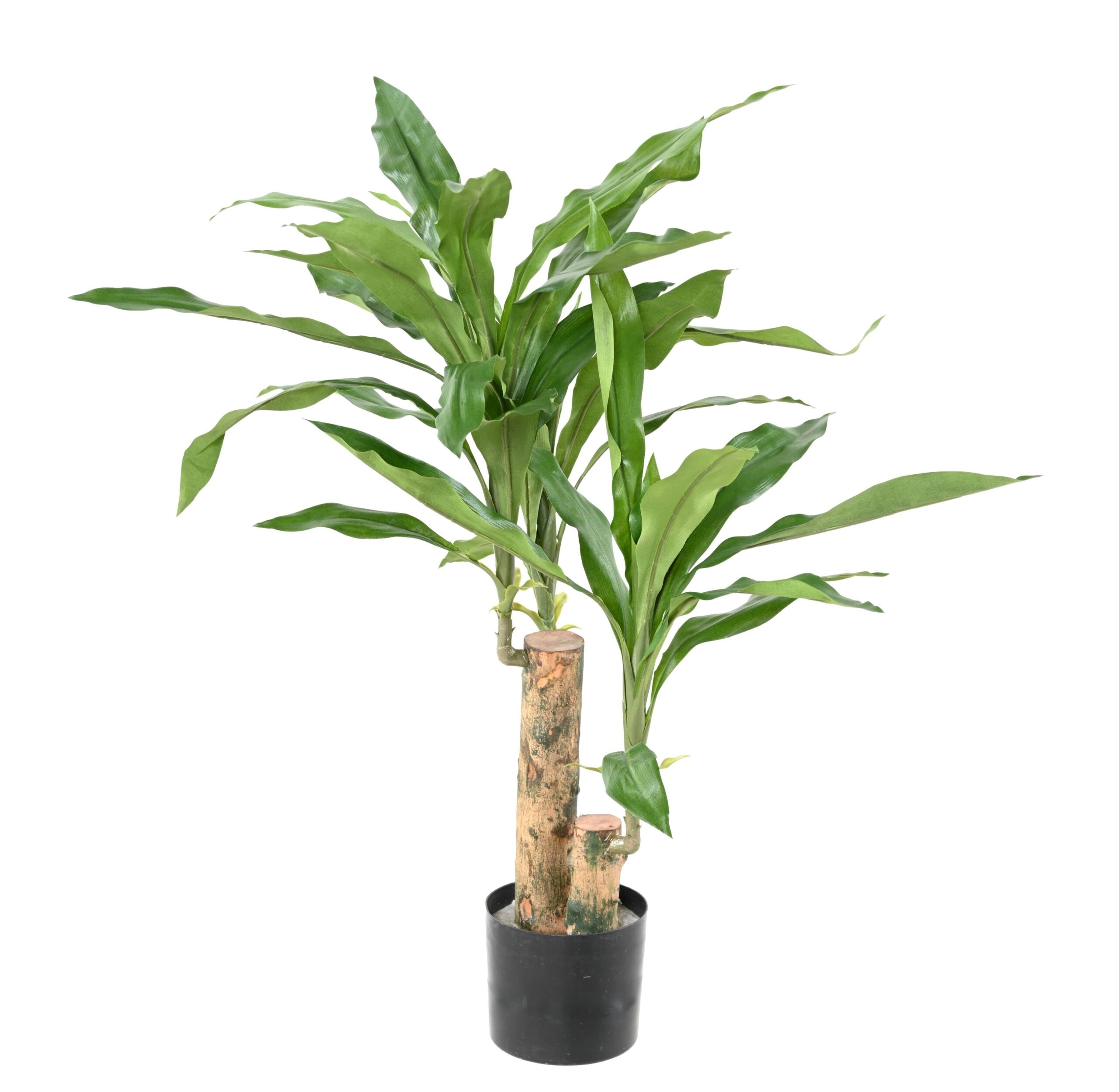 Künstliche Dracaena: Pflegeleichte Raumdekoration 1 Künstliche Dracaena: Pflegeleichte Raumdekoration