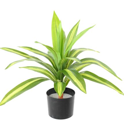 Künstliche Dracaena: Pflegeleichte Eleganz für Ihr Zuhause