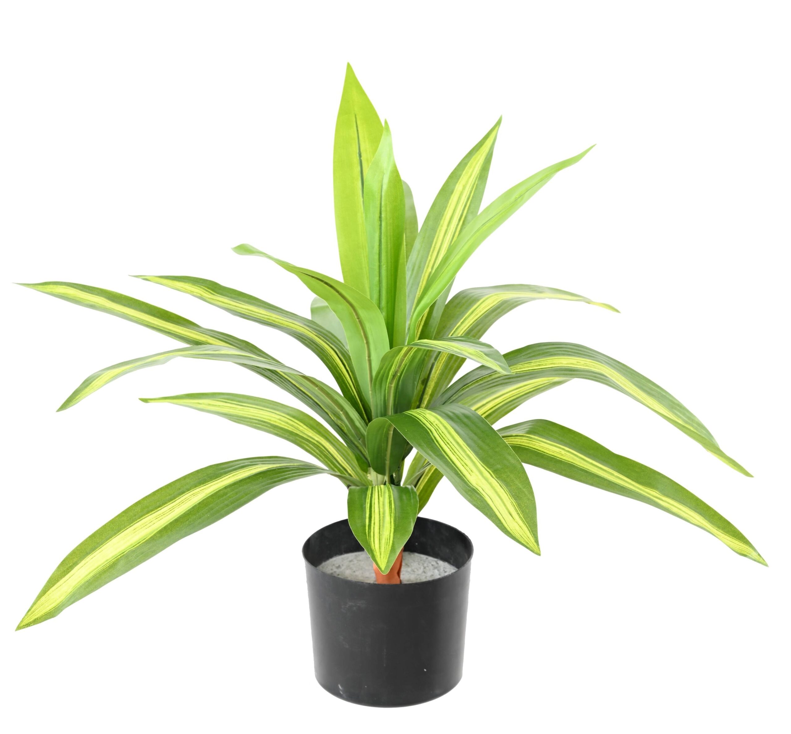 Künstliche Dracaena: Pflegeleichte Eleganz für Ihr Zuhause 1 Künstliche Dracaena: Pflegeleichte Eleganz für Ihr Zuhause