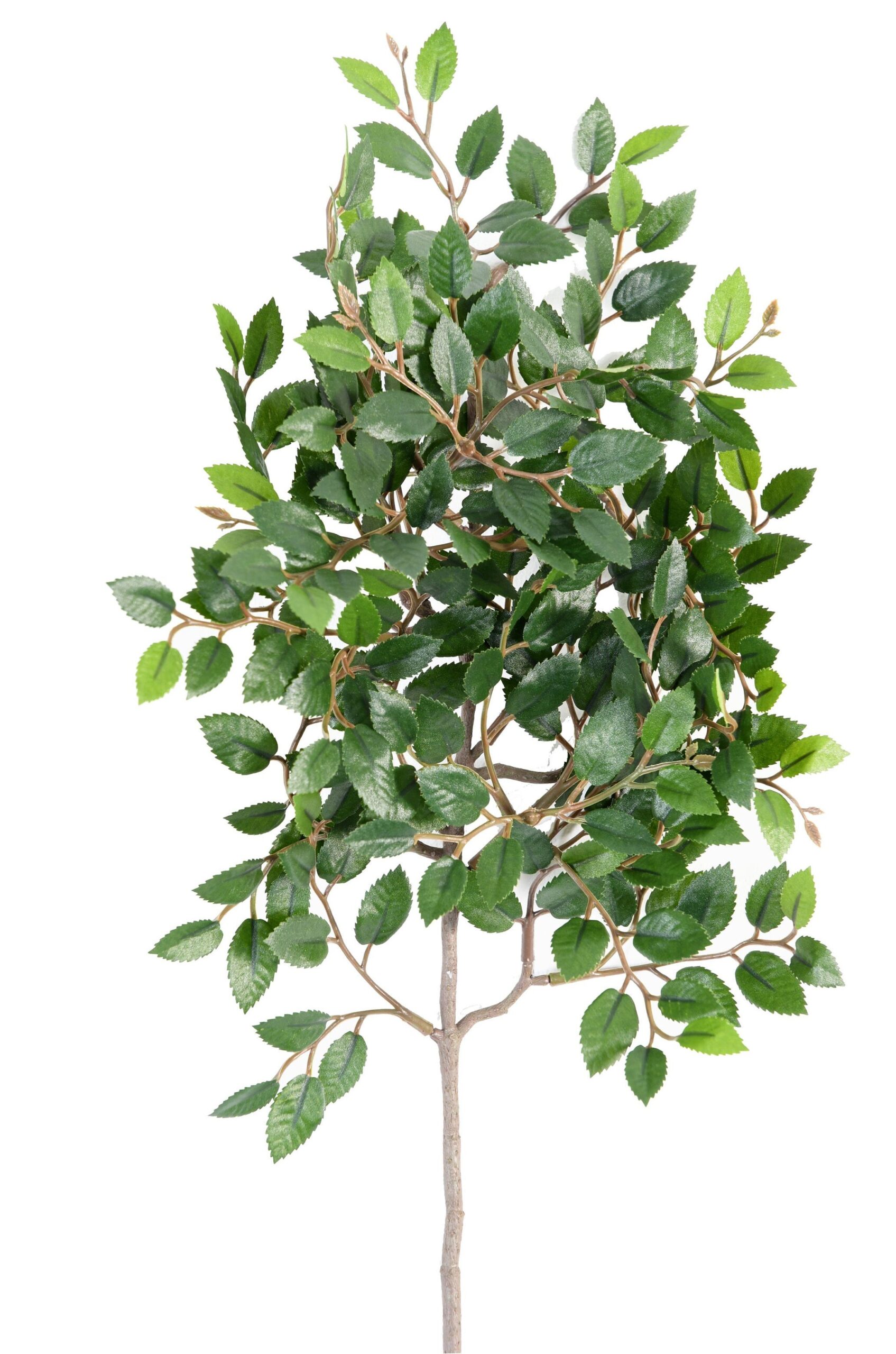 Künstlicher Ulmenzweig, ca 39cm, grün 1 Künstlicher Ulmenzweig, ca 39cm, grün