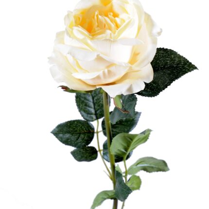 Künstliche Rose, creme, ca. 80cm hoch – Pflegeleicht!