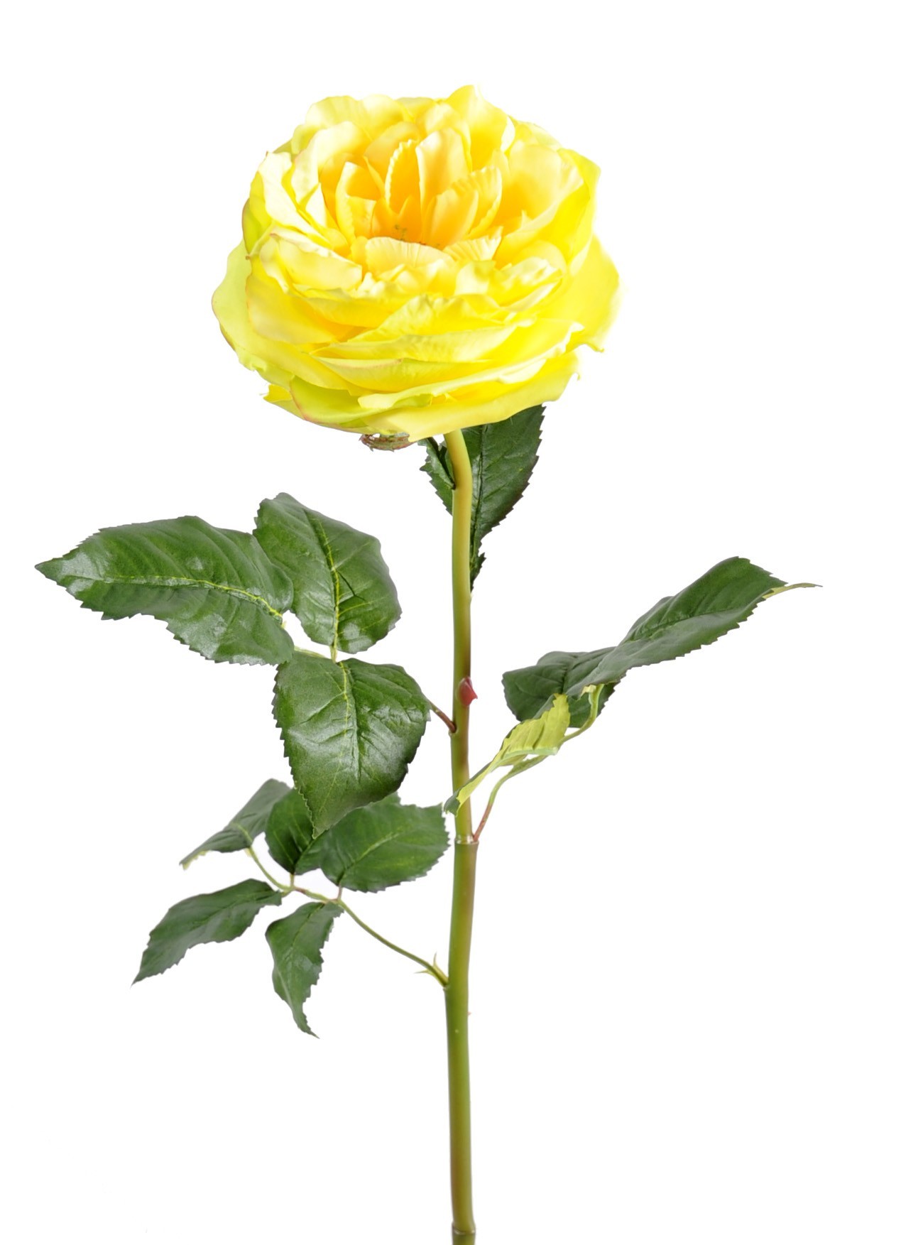 Künstliche Rose, gelb, ca. 85cm hoch - Pflegeleicht! 1 Künstliche Rose, gelb, ca. 85cm hoch - Pflegeleicht!