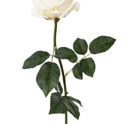Künstliche Rose, weiß, ca. 80cm hoch - Pflegeleicht!
