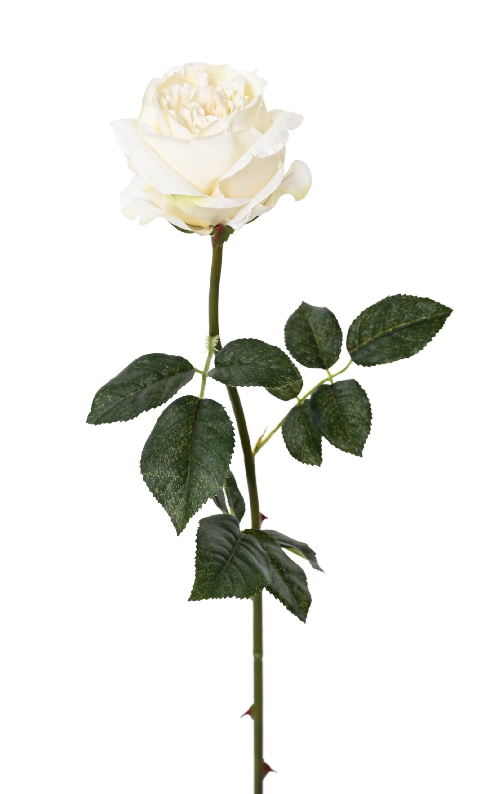 Künstliche Rose, weiß, ca. 80cm hoch - Pflegeleicht! 1 Künstliche Rose, weiß, ca. 80cm hoch - Pflegeleicht!