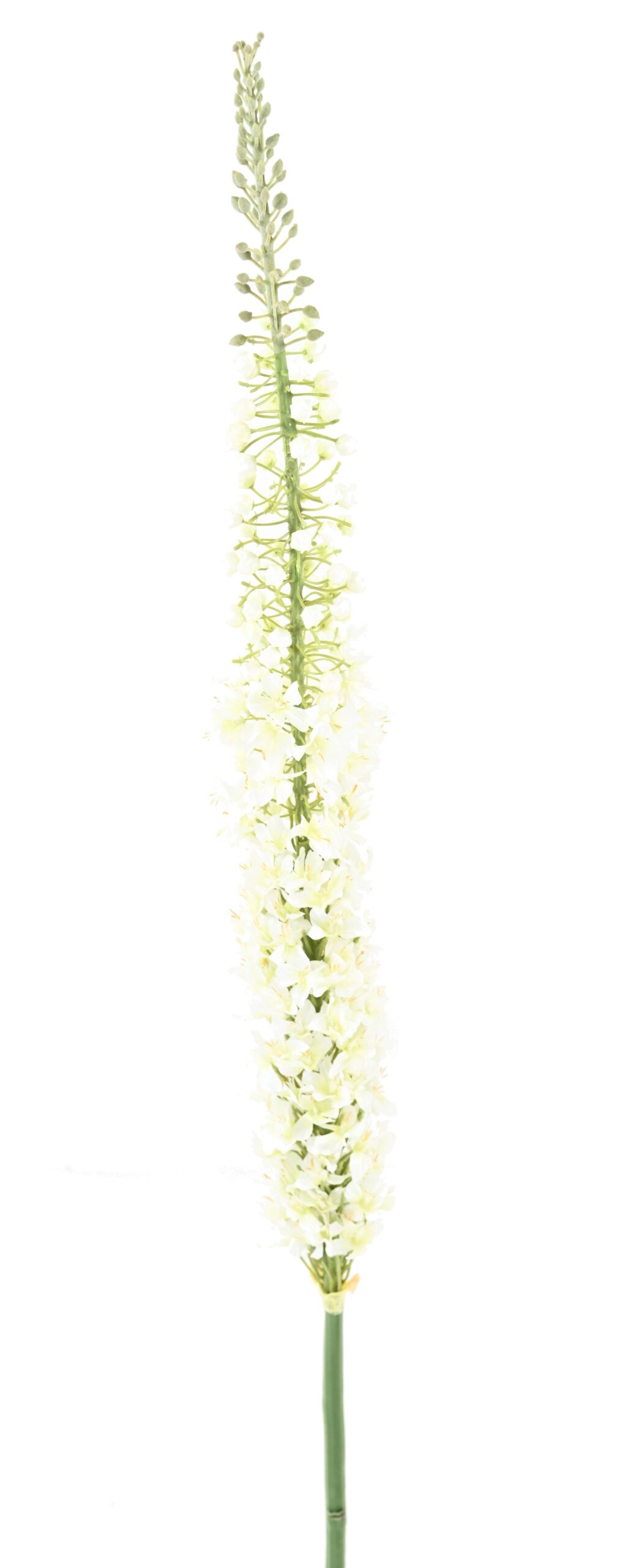 Künstlicher Eremurus, weiß, ca. 105cm hoch 1 Künstlicher Eremurus, weiß, ca. 105cm hoch