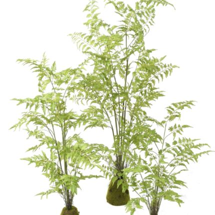 Künstlicher Farn Nephrolepis, 170cm hoch, grün