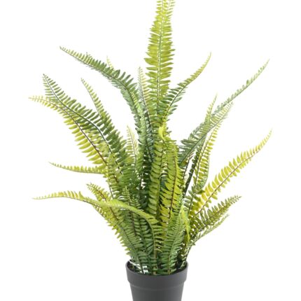 Künstlicher Bostonfarn: Pflegeleichte Raumdekoration