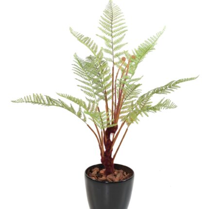 Künstlicher Dicksonia Farn: Pflegeleichte Raumdeko