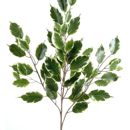 Künstlicher Ficus Zweig, ca 76cm, grün