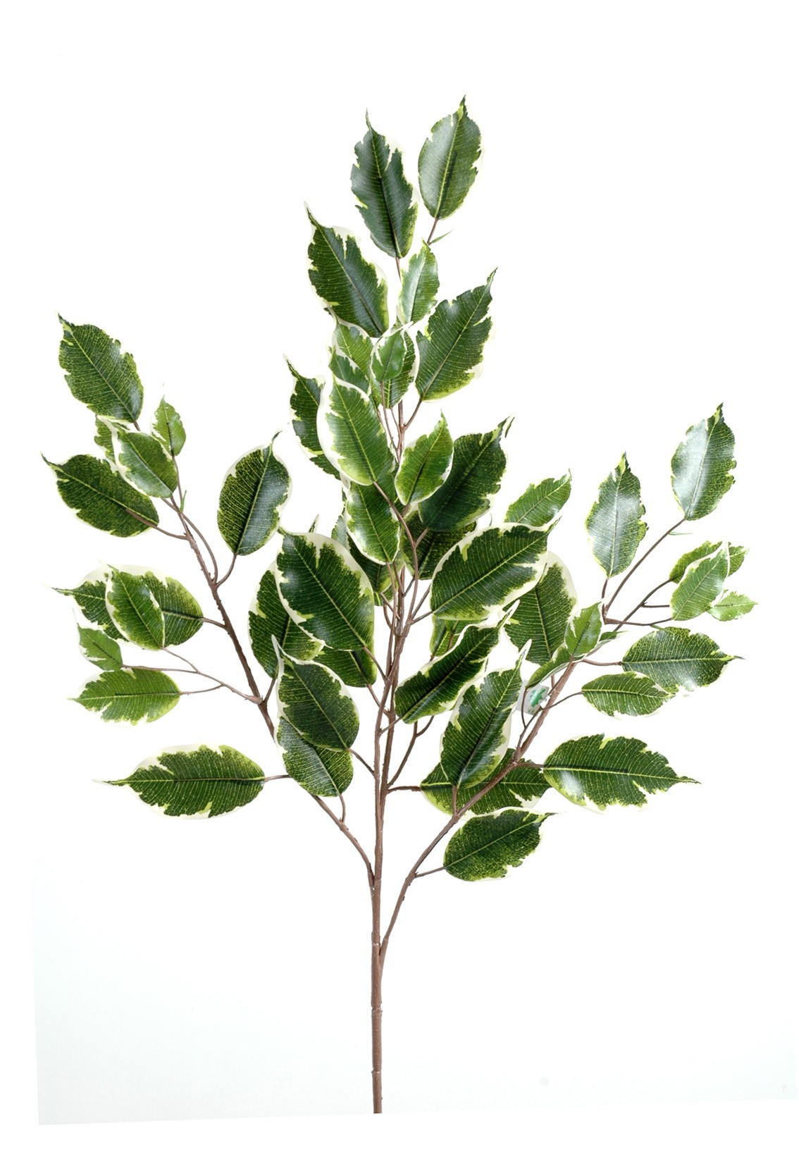 Künstlicher Ficus Zweig, ca 76cm, grün 1 Künstlicher Ficus Zweig, ca 76cm, grün