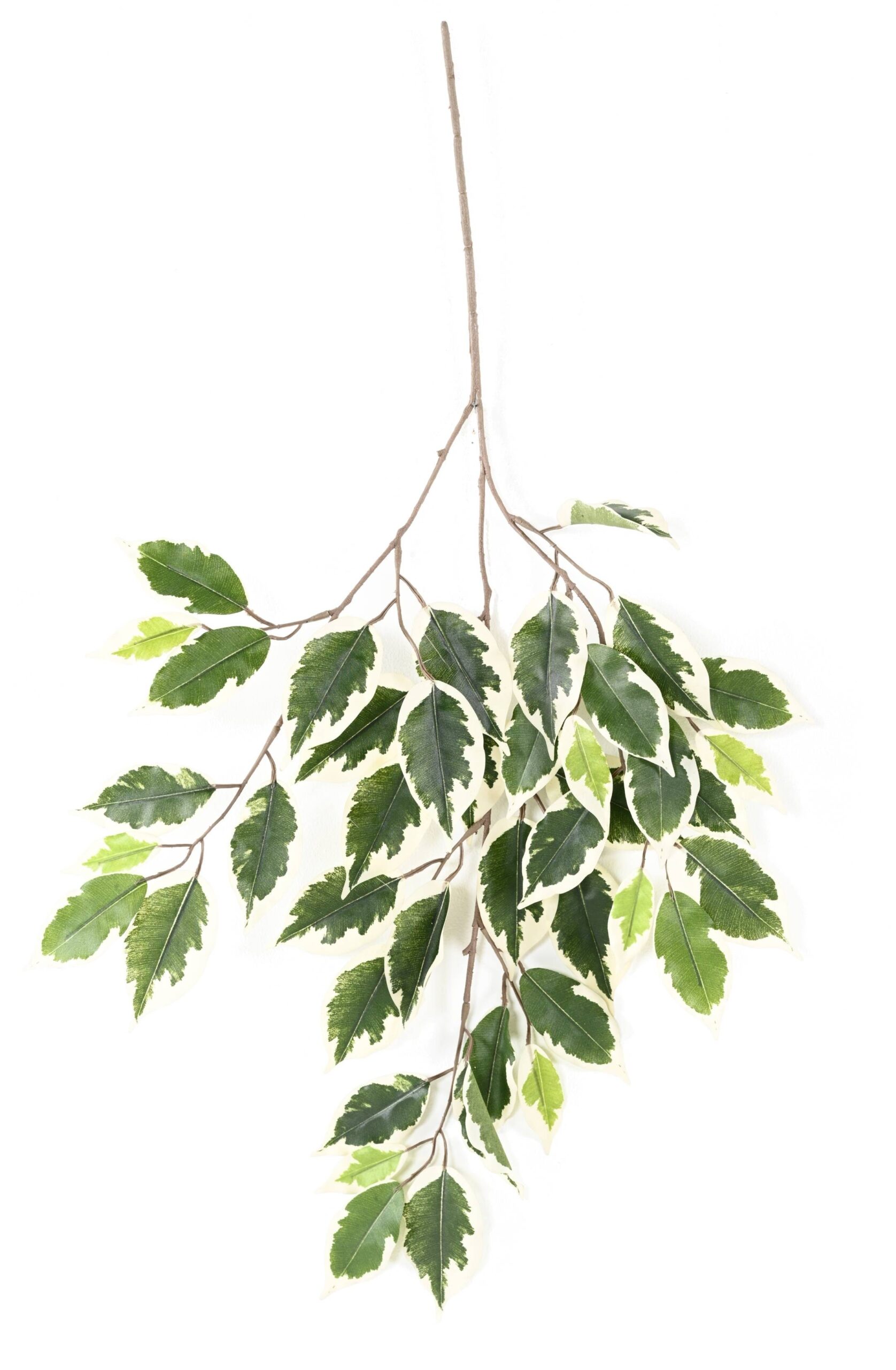 Künstlicher Ficus Zweig, ca 60cm, bunt 1 Künstlicher Ficus Zweig, ca 60cm, bunt