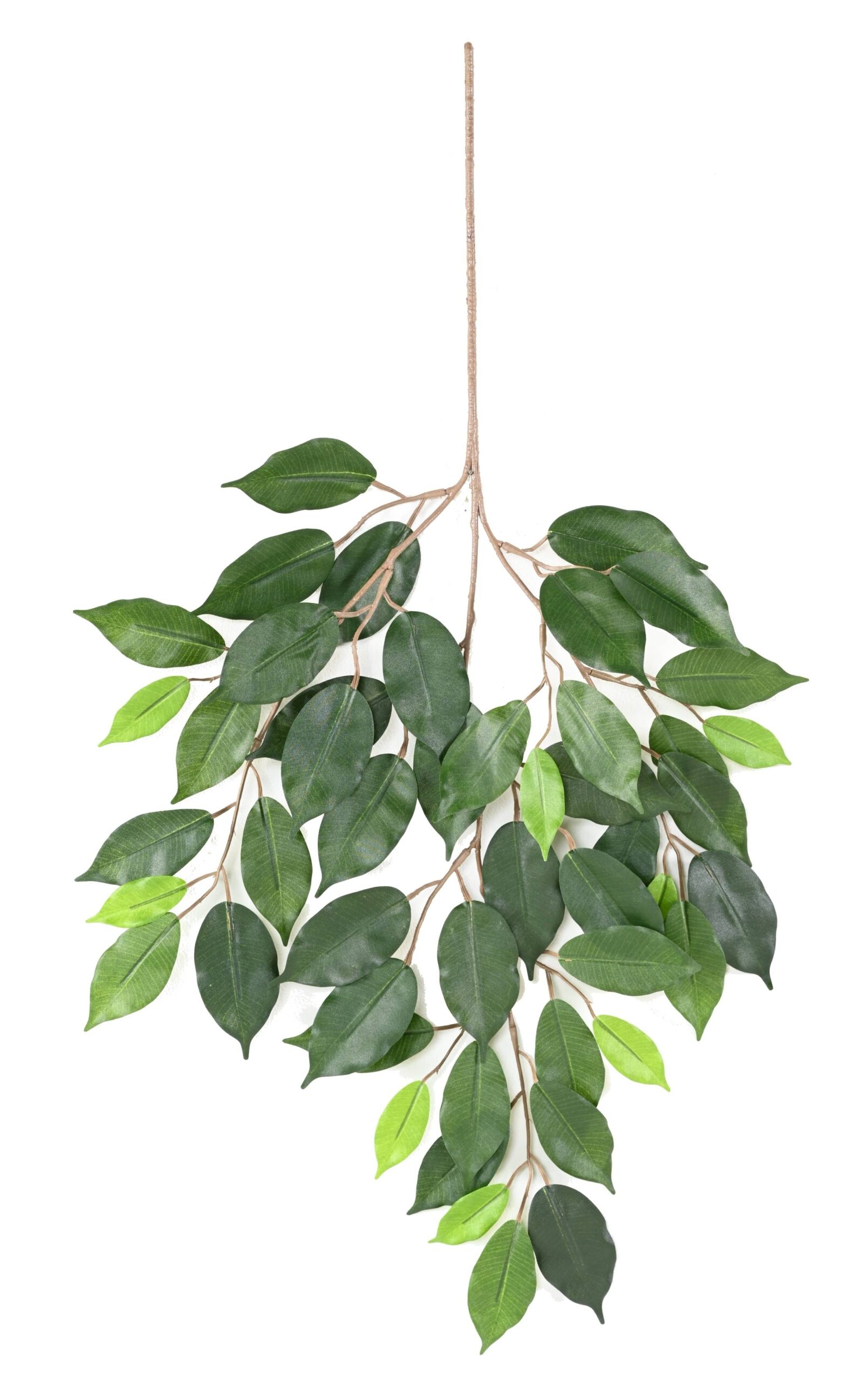 Künstlicher Ficus Zweig, ca 60cm, grün 1 Künstlicher Ficus Zweig, ca 60cm, grün