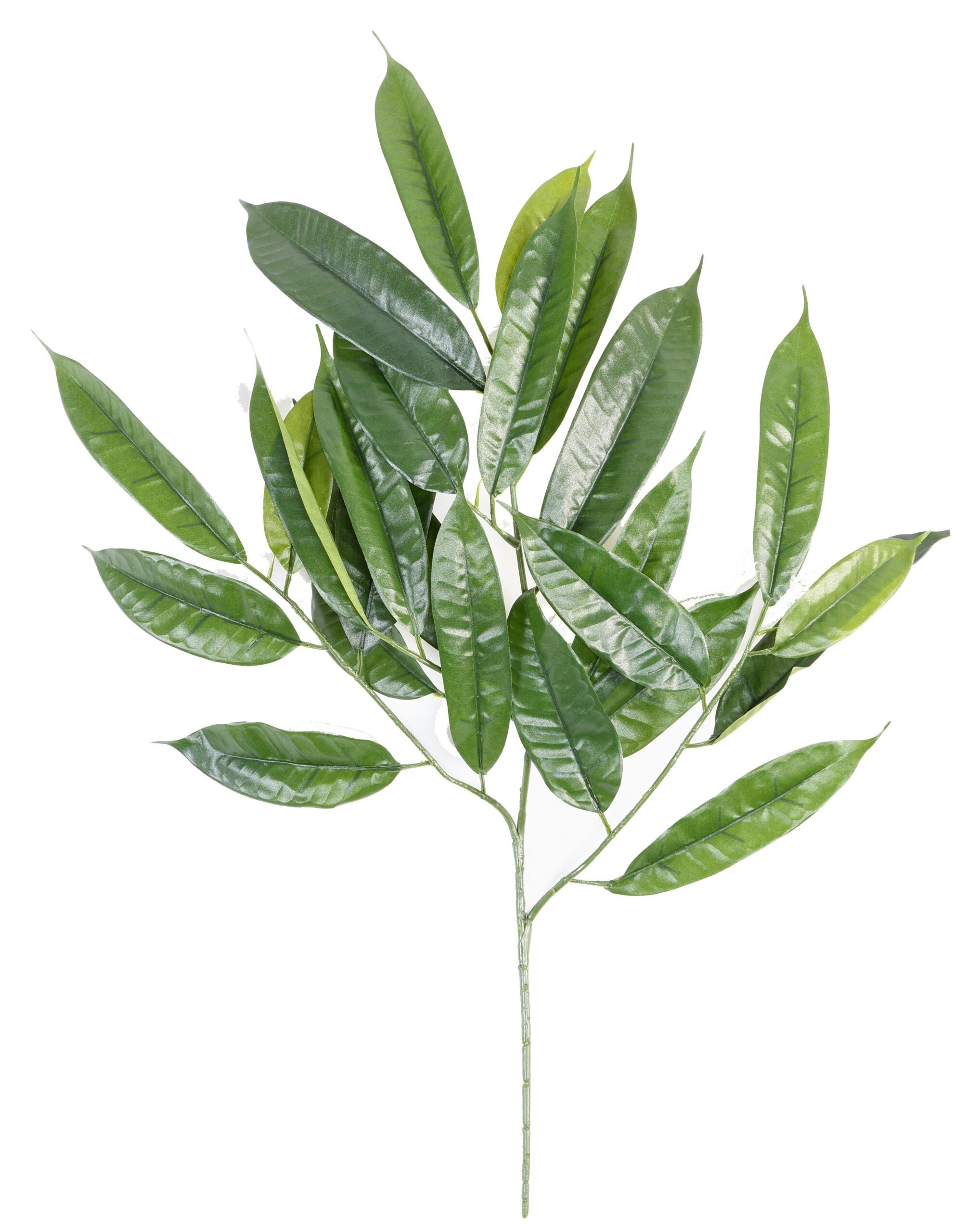 Künstlicher Ficus Zweig, ca 70cm, grün 1 Künstlicher Ficus Zweig, ca 70cm, grün