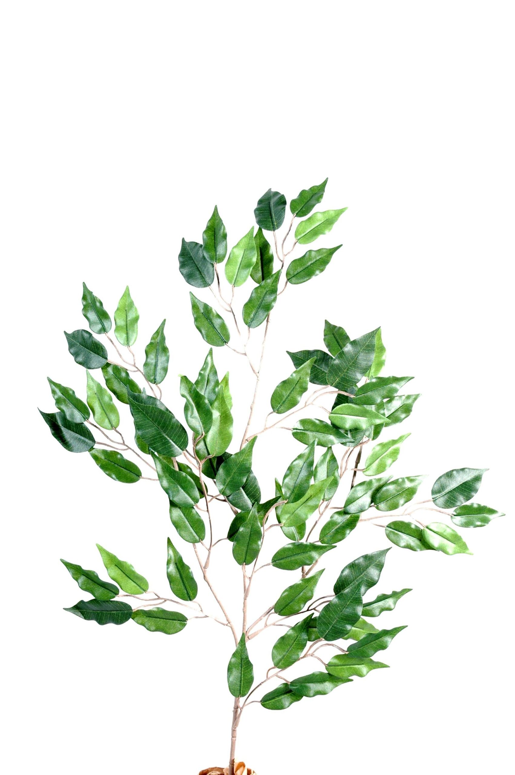 Künstlicher Ficus Blattzweig, ca 65cm, UV-Beständig, grün 1 Künstlicher Ficus Blattzweig, ca 65cm, UV-Beständig, grün