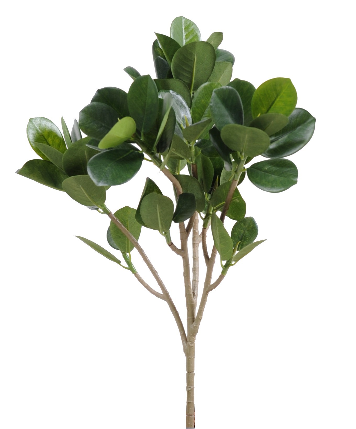 Künstlicher Microcarpa Zweig, ca 40cm, grün 1 Künstlicher Microcarpa Zweig, ca 40cm, grün