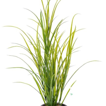 Künstliches Gras 100cm: Pflegeleichte Gartenlösung