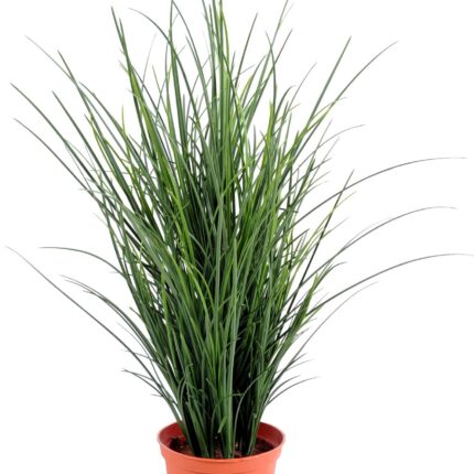 Künstlicher Grass Fine Pot, 60cm hoch, grün