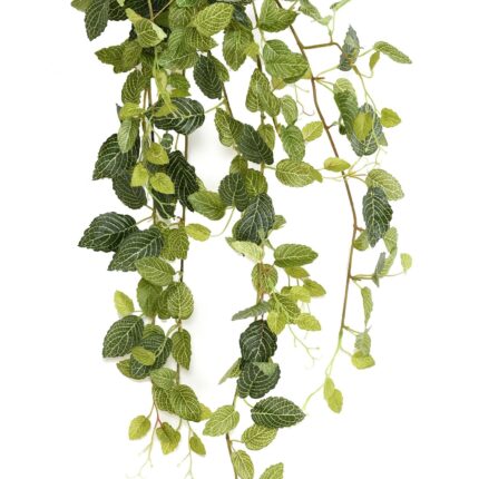 Künstliche Hängepflanze Fittonia Mini, ca. 80cm