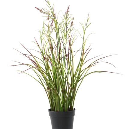 Künstlicher Acorus: Farbige Akzente für Ihr Zuhause