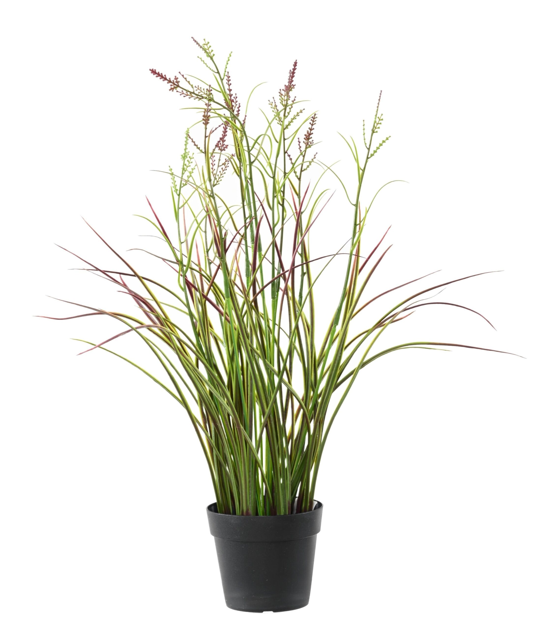 Künstlicher Acorus: Farbige Akzente für Ihr Zuhause 1 Künstlicher Acorus: Farbige Akzente für Ihr Zuhause