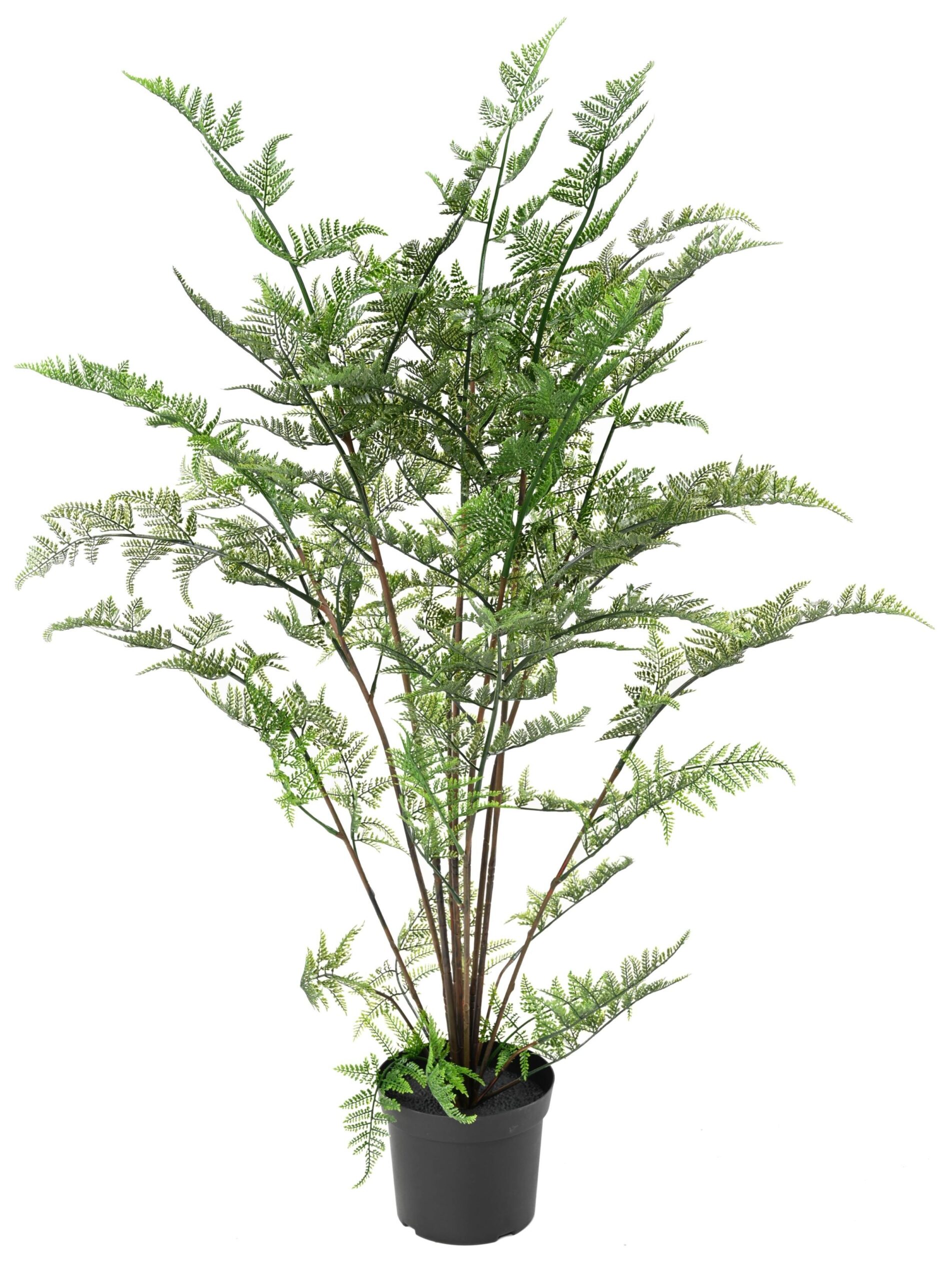 Künstlicher Farn Nephrolepis, 110cm hoch, UV-beständig 1 Künstlicher Farn Nephrolepis, 110cm hoch, UV-beständig