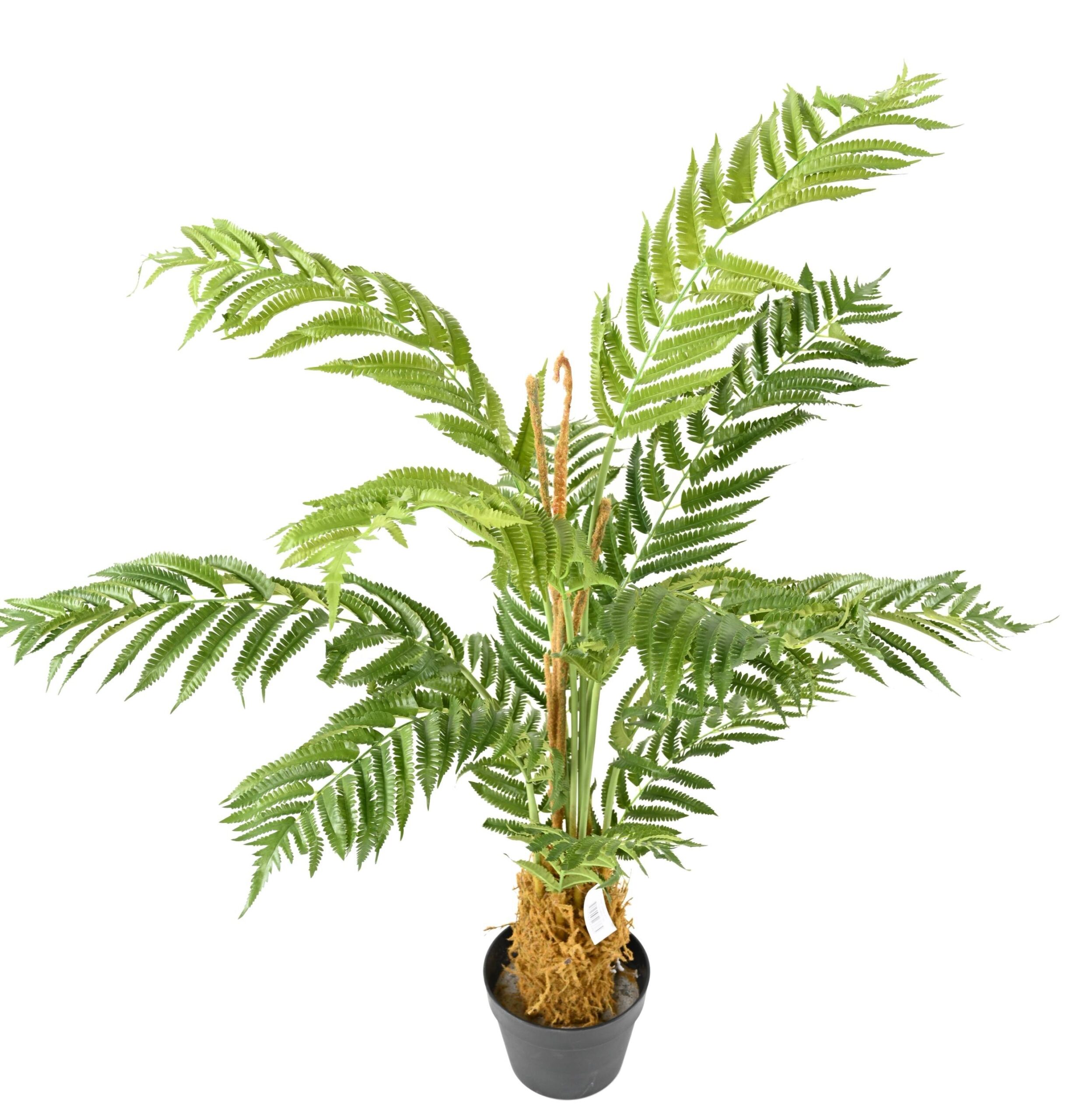 Künstlicher Farn Nephrolepis, 120cm hoch, grün 1 Künstlicher Farn Nephrolepis, 120cm hoch, grün