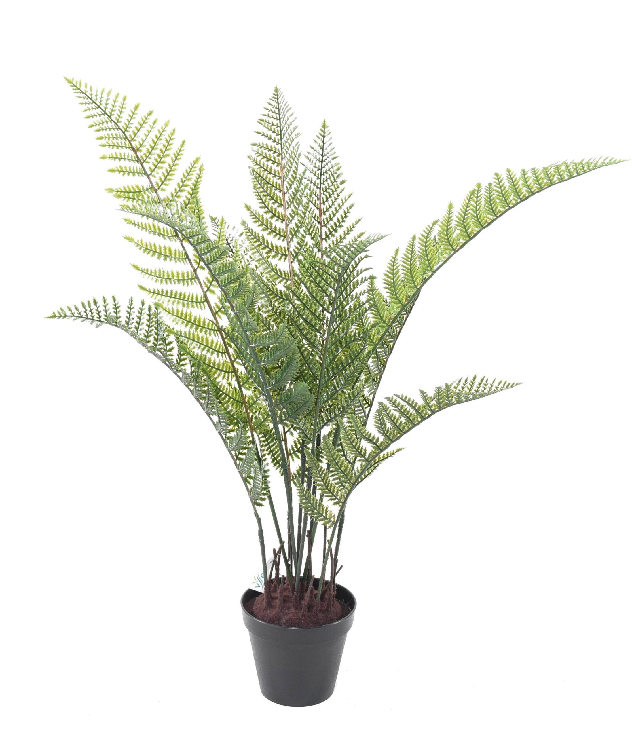 Künstlicher Farn Nephrolepis, 100cm hoch, UV-beständig 1 Künstlicher Farn Nephrolepis, 100cm hoch, UV-beständig