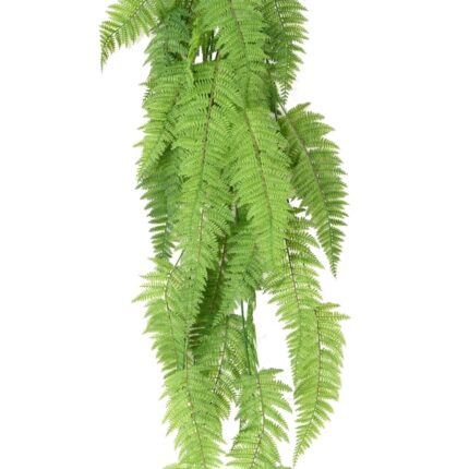 Farn großer hängender Busch, ca. 123cm
