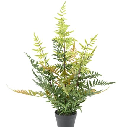 Künstlicher Farn Nephrolepis, 60cm hoch, grün
