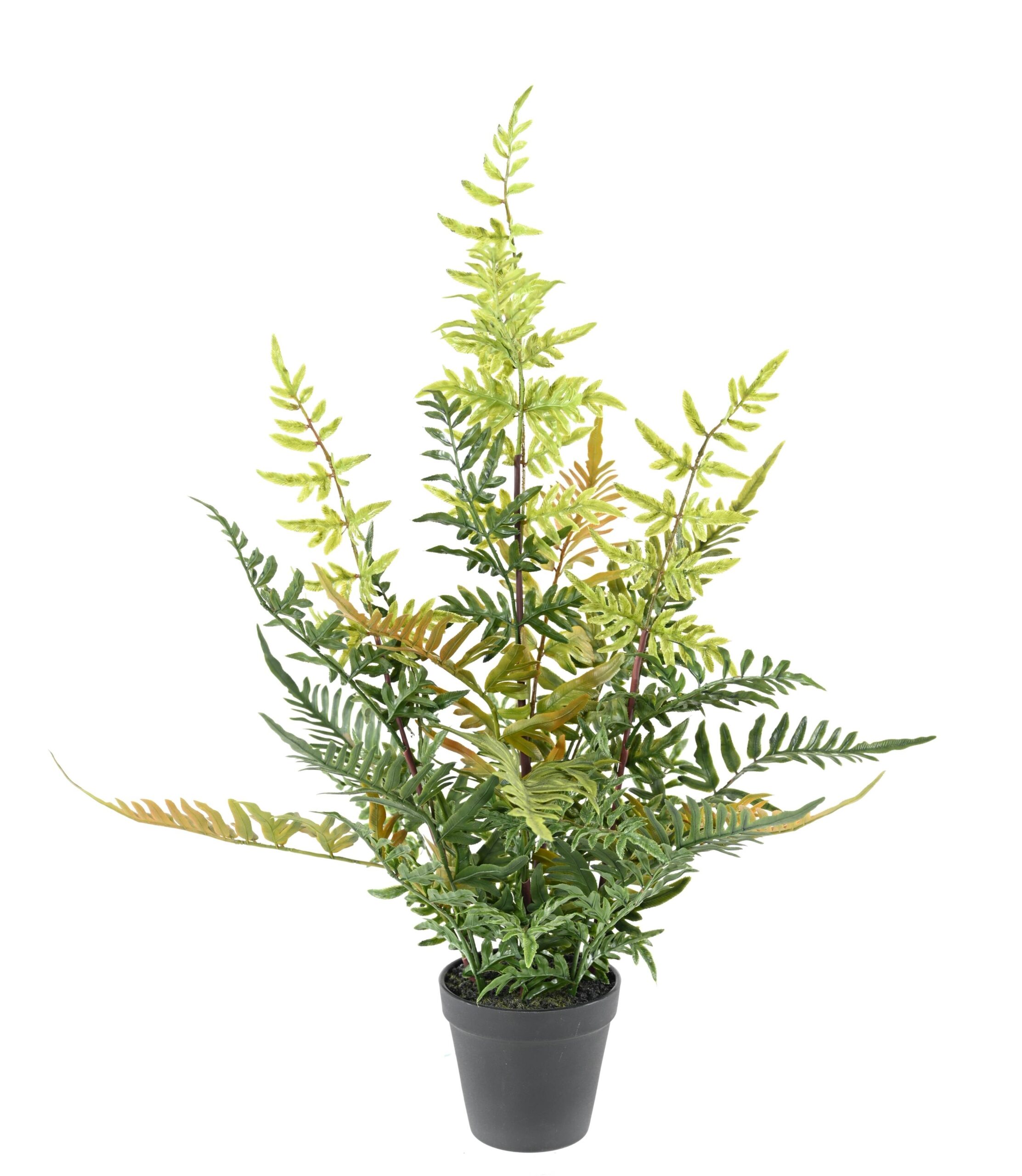 Künstlicher Farn Nephrolepis, 60cm hoch, grün 1 Künstlicher Farn Nephrolepis, 60cm hoch, grün