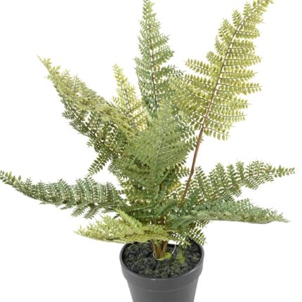 Künstlicher Farn Nephrolepis, 45cm hoch, grün