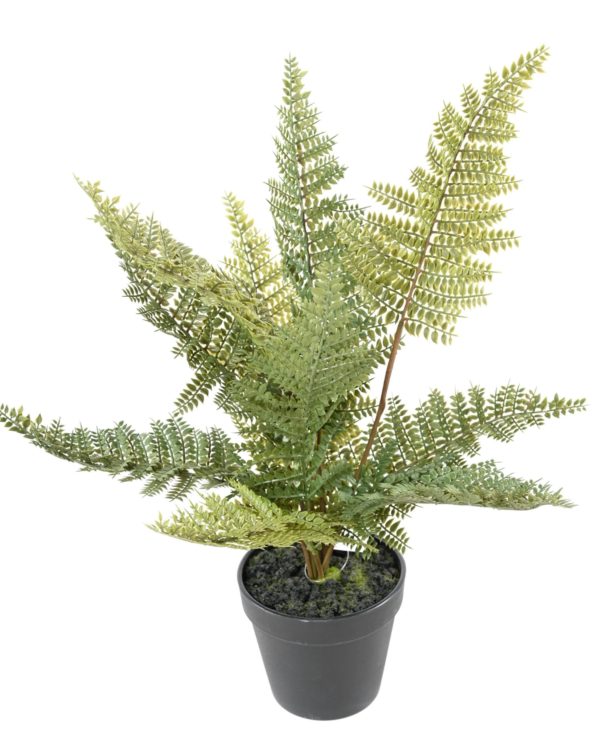 Künstlicher Farn Nephrolepis, 45cm hoch, grün 1 Künstlicher Farn Nephrolepis, 45cm hoch, grün