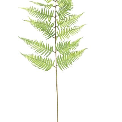 Künstlicher Ficus Blattzweig, ca 155cm, grün