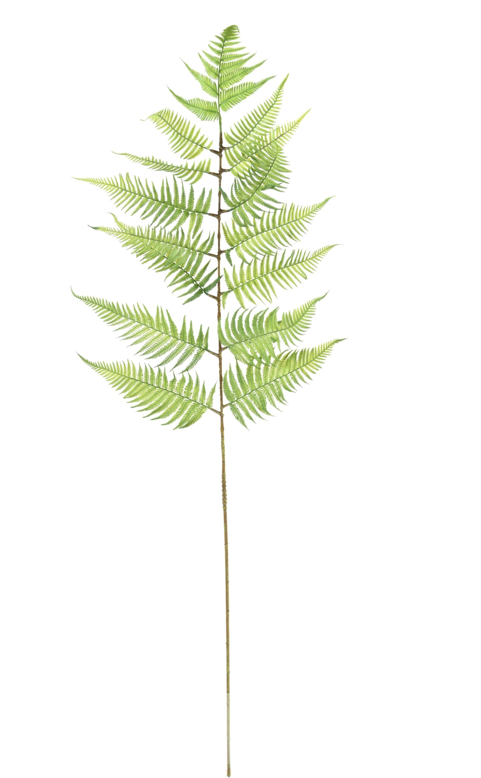 Künstlicher Ficus Blattzweig, ca 155cm, grün 1 Künstlicher Ficus Blattzweig, ca 155cm, grün