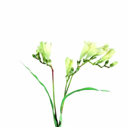 Künstliche Freesie, weiß, ca. 60cm hoch - Pflegeleicht!