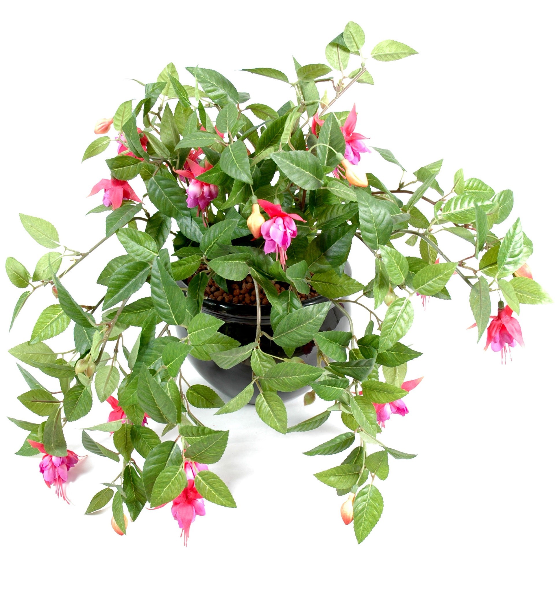 Künstliche Hängepflanze Fuchsia, ca. 25cm 1 Künstliche Hängepflanze Fuchsia, ca. 25cm
