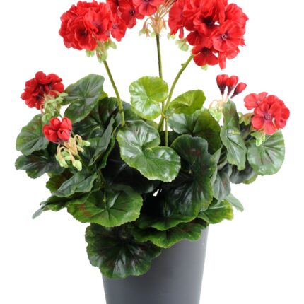 Künstliche Geranie, ca 40cm, rot