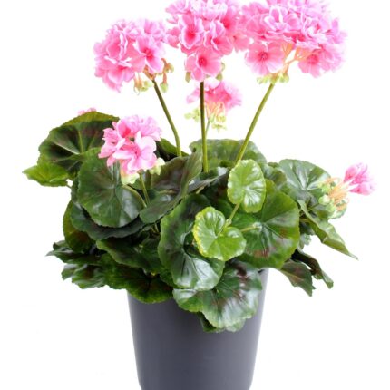 Künstliche Geranie, ca 40cm, pink