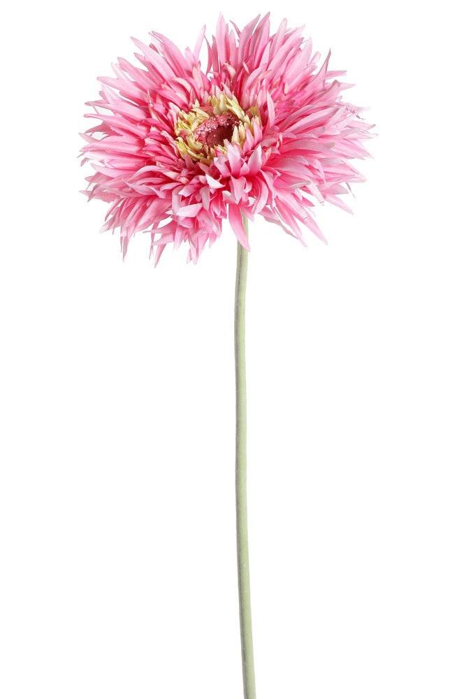Künstliche Gerbera, pink, ca. 70cm hoch - Pflegeleicht! 1 Künstliche Gerbera, pink, ca. 70cm hoch - Pflegeleicht!