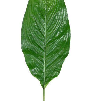 Künstlicher Riesenblattzweig, ca 105cm, grün