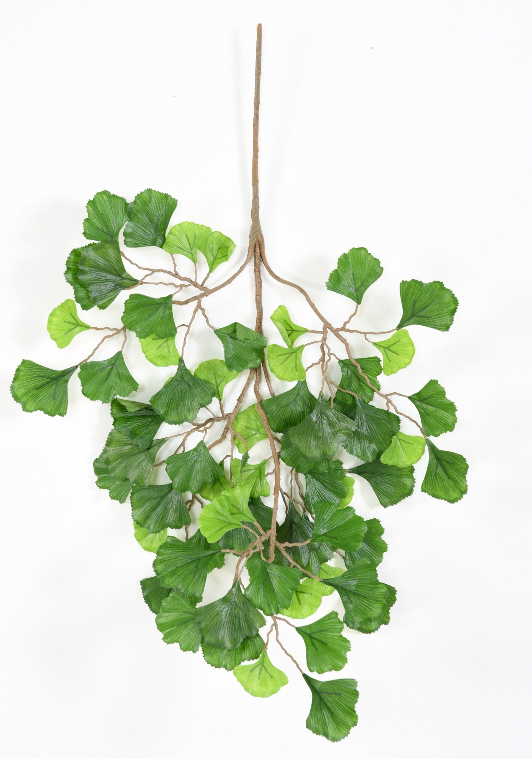Künstlicher Ginkgo Biloba Zweig, ca 65cm, grün 1 Künstlicher Ginkgo Biloba Zweig, ca 65cm, grün