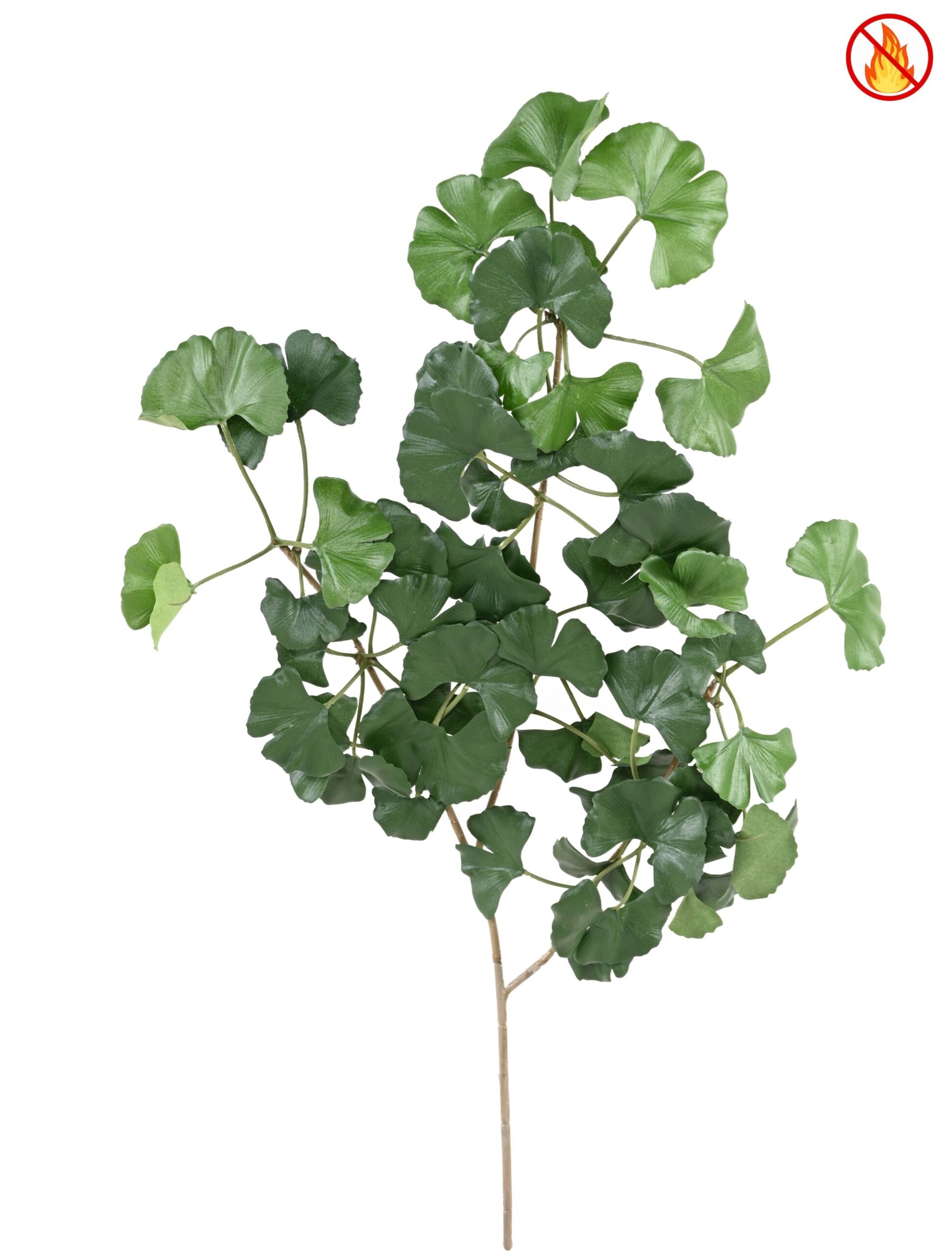 Künstlicher Ginkgo-Zweig, ca 60cm, Schwer entflammbar B1/RF2, grün 1 Künstlicher Ginkgo-Zweig, ca 60cm, Schwer entflammbar B1/RF2, grün