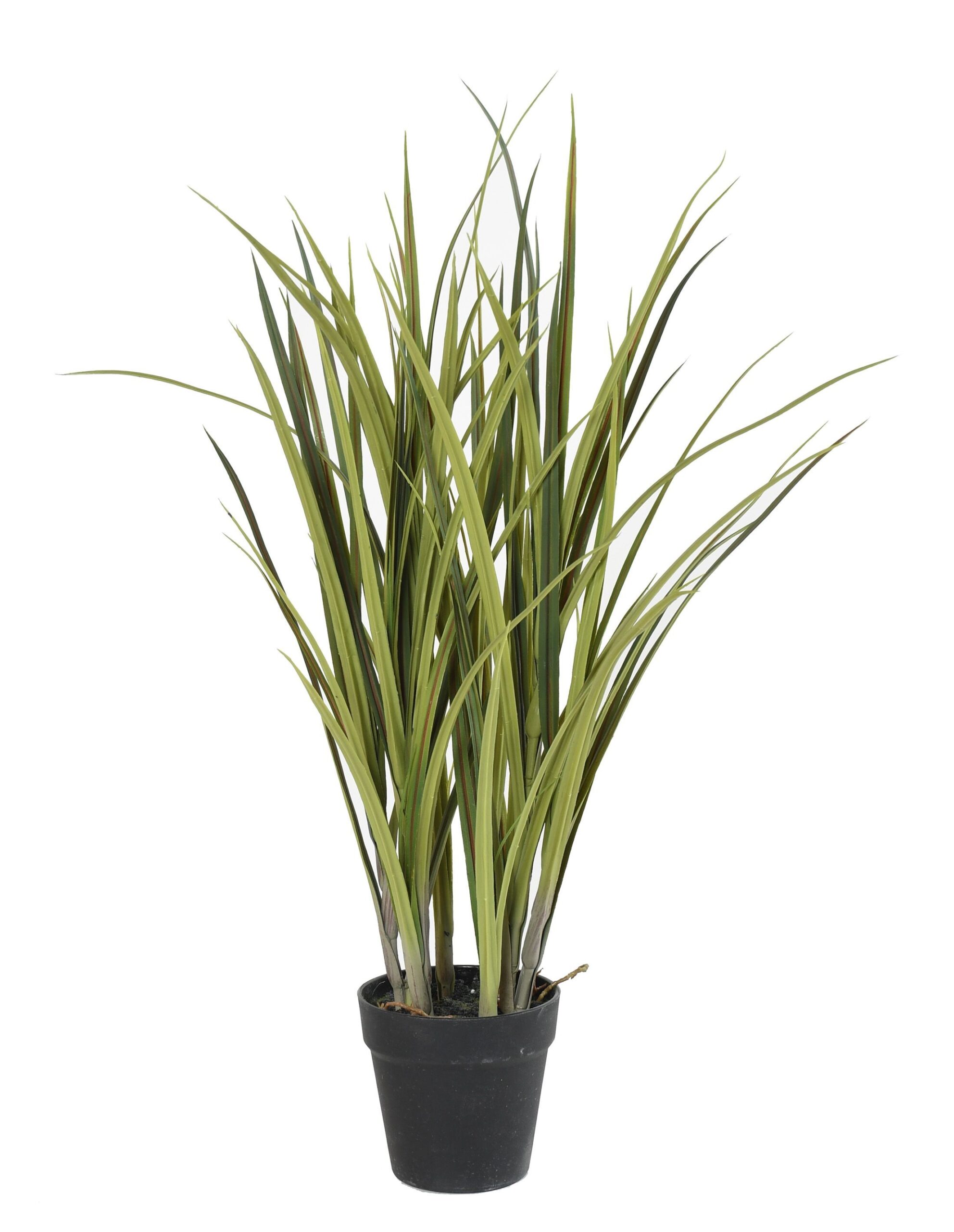 Künstliches Gras 75cm: Pflegeleichte Raumdekoration 1 Künstliches Gras 75cm: Pflegeleichte Raumdekoration