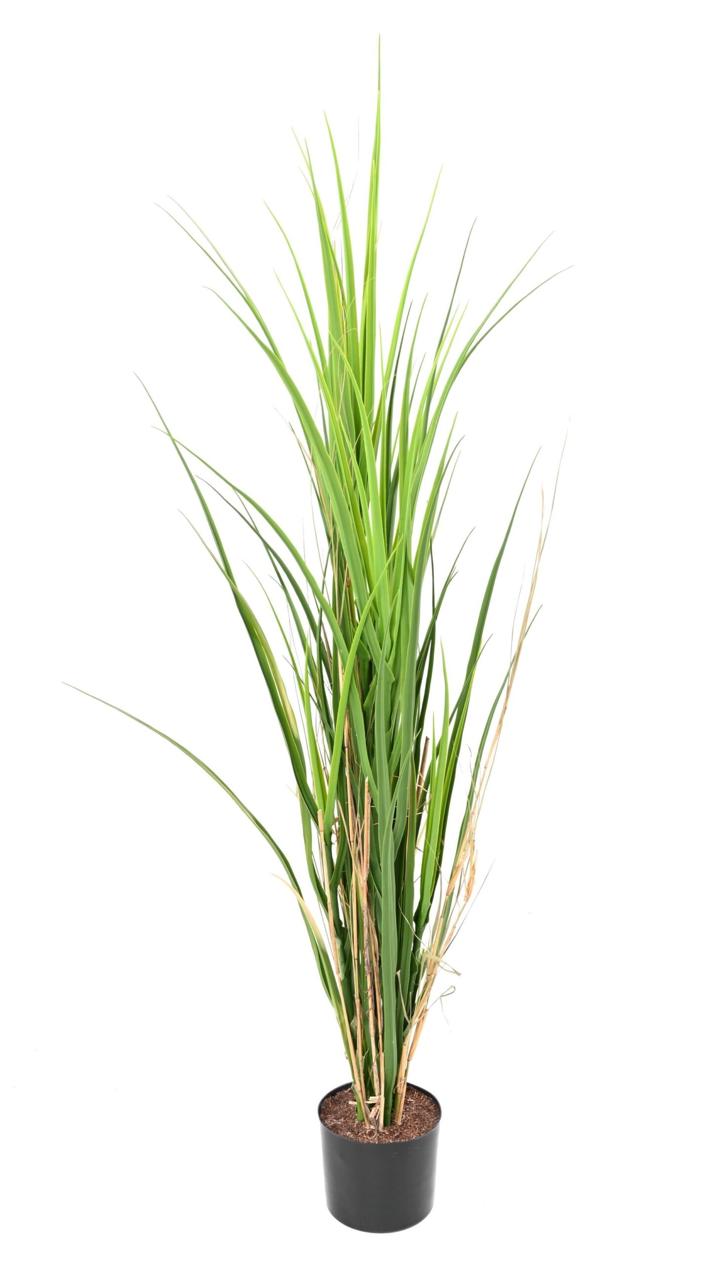Künstliches Gras, 115cm hoch, pflegeleicht und realistisch 1 Künstliches Gras, 115cm hoch, pflegeleicht und realistisch