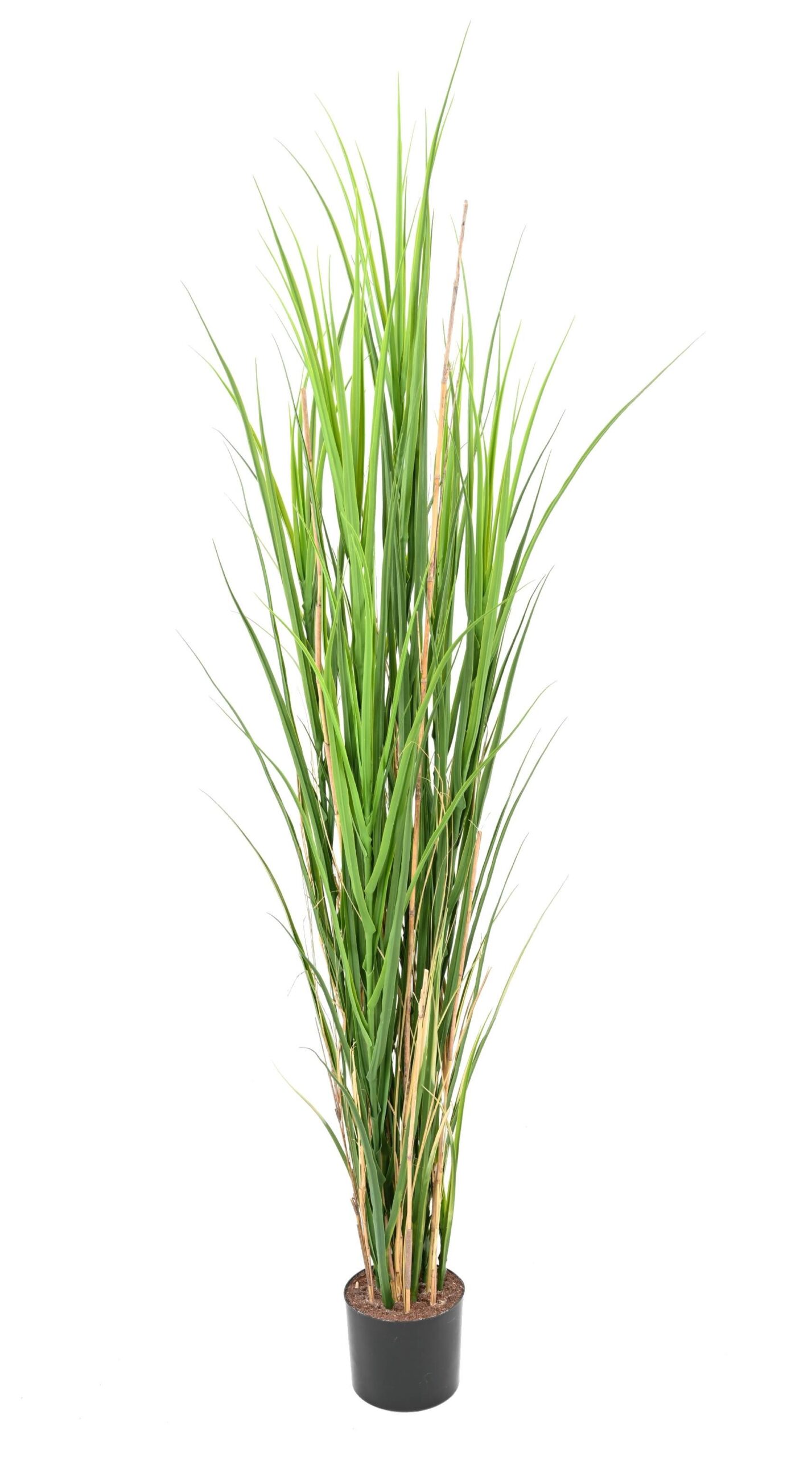 Künstliches Gras, 165 cm hoch, pflegeleicht und grün 1 Künstliches Gras, 165 cm hoch, pflegeleicht und grün